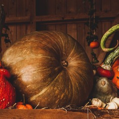 Halloween-Special: Musikalische Kürbisse