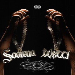 HESADATE_Soorena x Dorcci