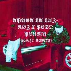 Apaga La Luz - RØZ & Peso Pluma (Gonzo Remix)