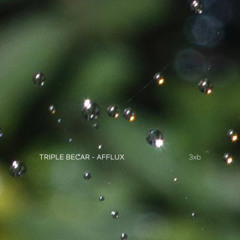 Afflux