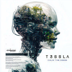 T3ssla - Calm The Inside (ovniep668 - Ovnimoon Records)