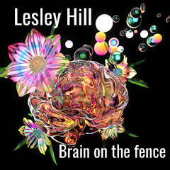 Brain on the fence