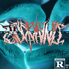 TROUBLE$OME (PROD. JUST$AYNO)*R8DR*