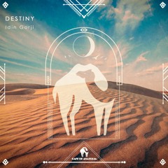 Idin Gorji - Destiny (Cafe De Anatolia)