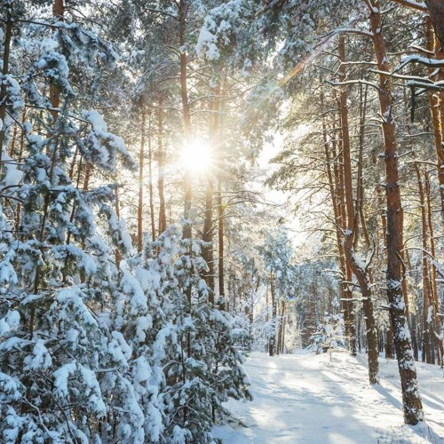 Lisa P - Old & New Trance Mix (December 2023)
