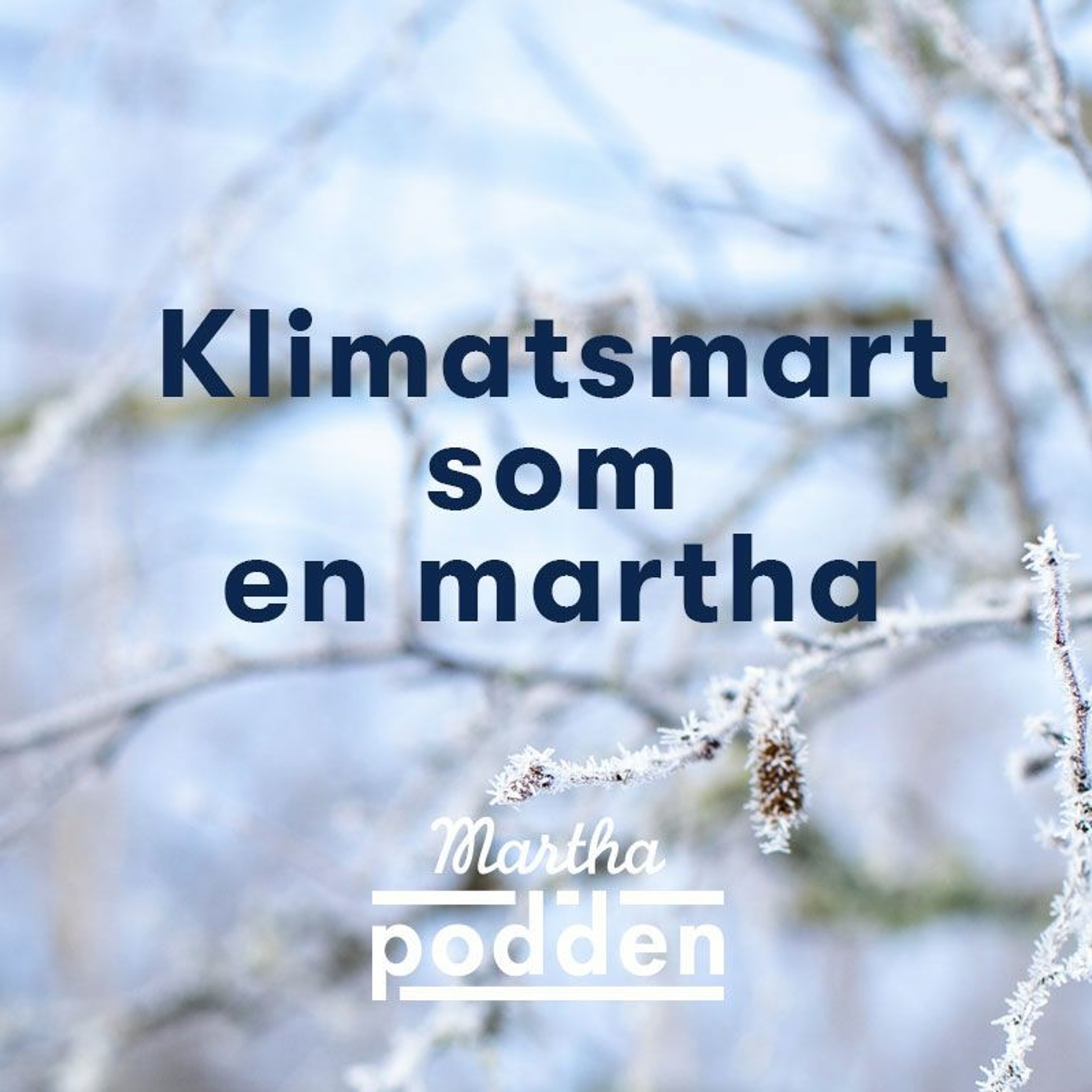 Marthaförbundet