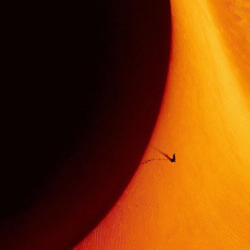 DUNE w/zaik, dango