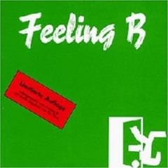 Lied von der unruhevollen Jugend (Frl. 3ux Techno Remix) - FEELING B