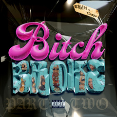 Bitch Broke Part Two feat Picasso