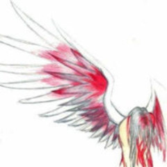 #21 (p. bunii)