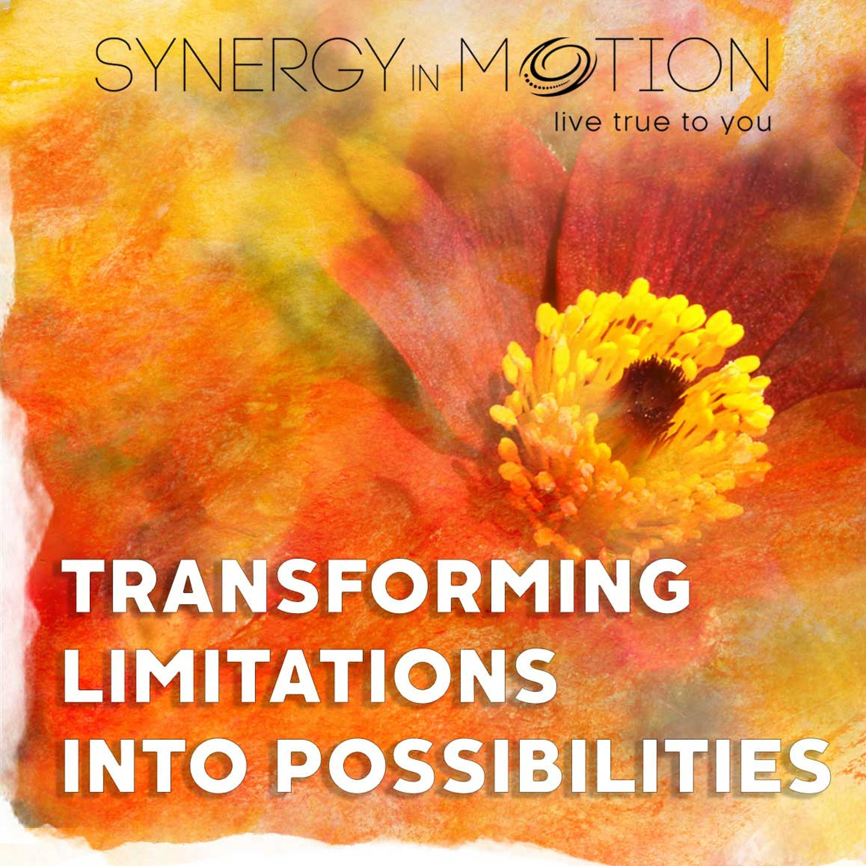 Transforming Limitations Into Possibilities - Hexagram 60 episode artwork