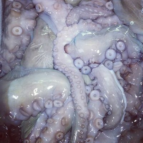 Swan Lake Music Box (Fnaf Minigame)