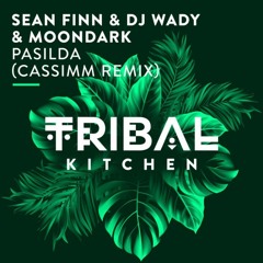 Sean Finn & DJ Wady & Moondark - Pasilda (CASSIMM Remix)