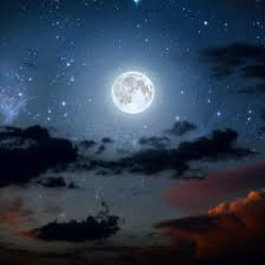 Nights (ft. William and Onion)