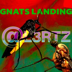 Gnats Landing