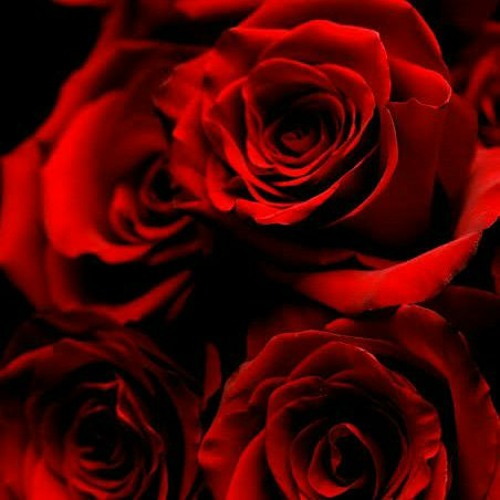 عمرو دياب - كنت في بالي - بدون موسيقى(cover بصوت ماركو مجدي).mp3