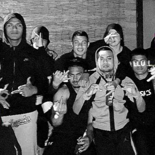 Cypher - RFA x LF70 x QSB