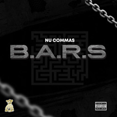 B.A.R.S. (NUCOMMAS)