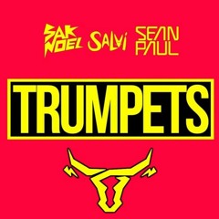 Sak Noel Salvi Ft. Sean Paul - Trumpets (Arya Modeong Edit)