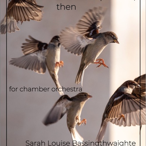 Let There Be Sparrows, then - KammarensembleN Sweden