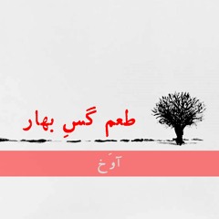 Astringent Taste Of Spring