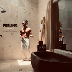 Zouzout - Feeling
