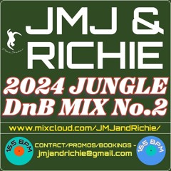 JUNGLE DnB MIX 2024 NEW RELEASES PART 2 - 165BPM