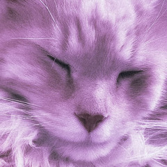 Sewer Simon - Matching Drapes (Demo)