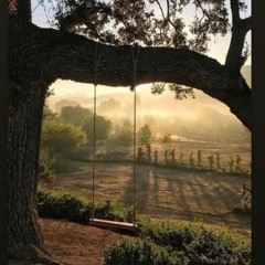 Don't Want To Miss a Thing ft José David Calle