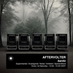 bardo w AFTERVOLTER on  @rough-radio APRIL 2025
