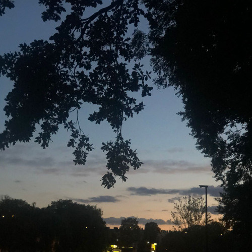 Stream Please Never Fall in Love Again (Ollie MN) ukulele cover by