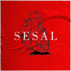 FALL UP - SESAL