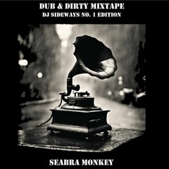 DJ SIDEWAYS - MONDAY GUEST SESSION - SEABRA MONKEY