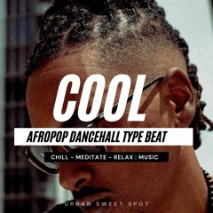 "Cool" | Afropop x  Dancehall  Instrumental - 1 Hour Chillout Barbecue Music