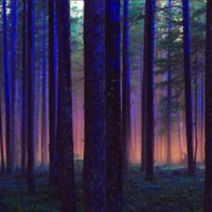 Star (feat.badlulGemini)