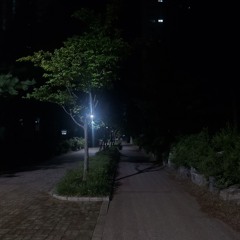갈림길(Light or Rain) - 한로로