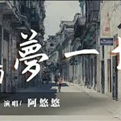 阿悠悠 - 舊夢一場『早知驚鴻一場，何必情深一往？』【動態歌詞Lyrics】