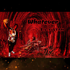 TL Stan- Whatever