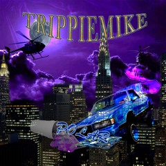 TRIPPIEMIKE - POLAR (PROD PARCA 971)