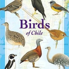 View EBOOK 💝 Birds of Chile (Princeton Field Guides, 28) by  Alvaro Jaramillo,Peter