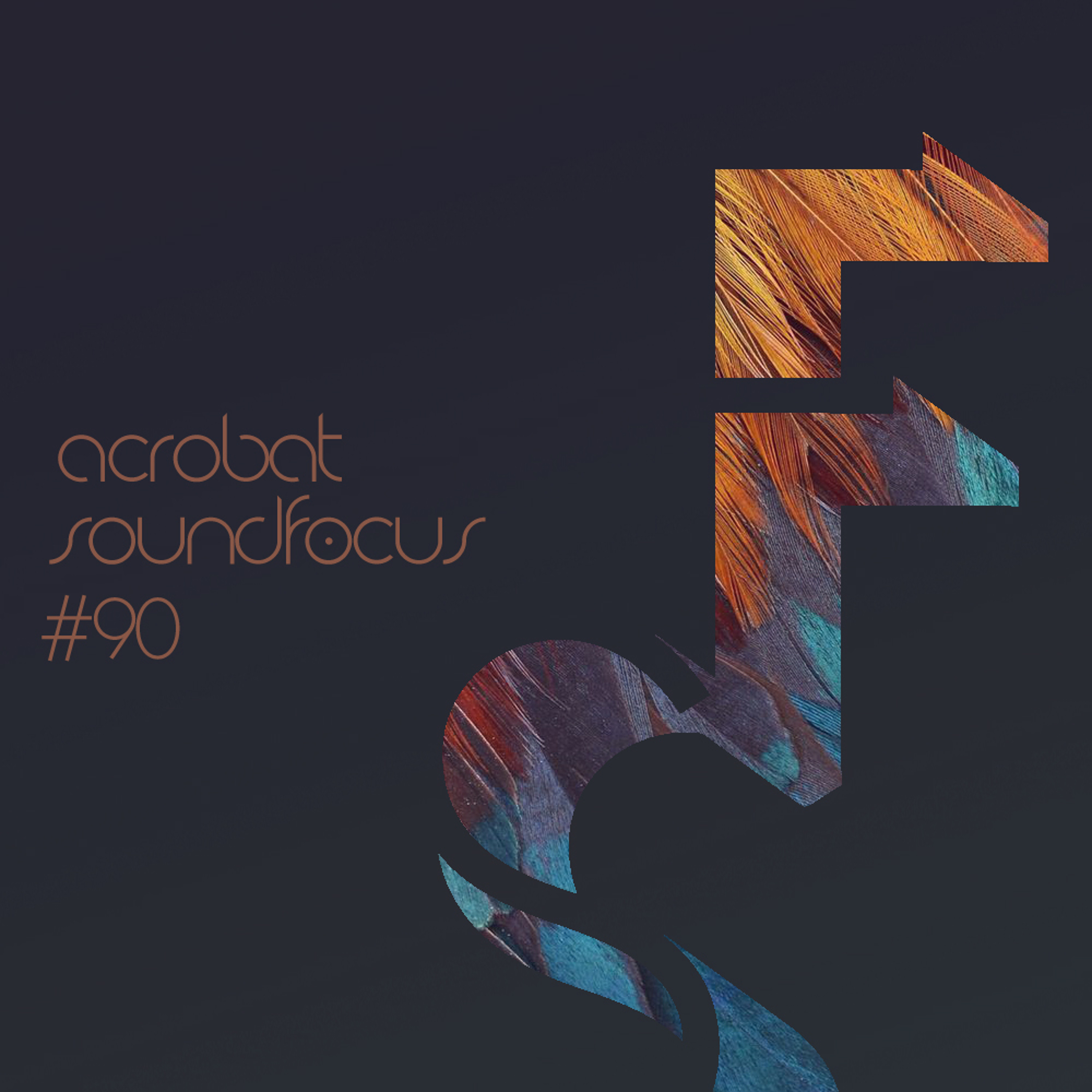 Acrobat | SoundFocus Podcast