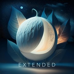 on my own (extended version)