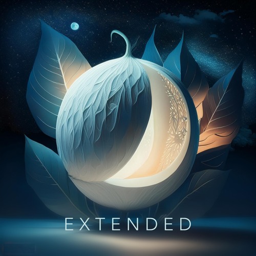 on my own (extended version)