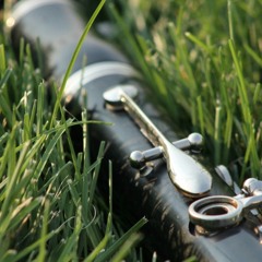 Misteriosa vida Tango