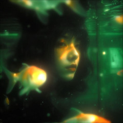 Matrix
