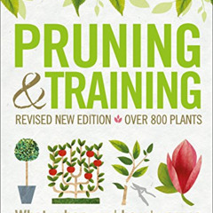 free PDF 📙 Pruning and Training, Revised New Edition: What, When, and How to Prune b