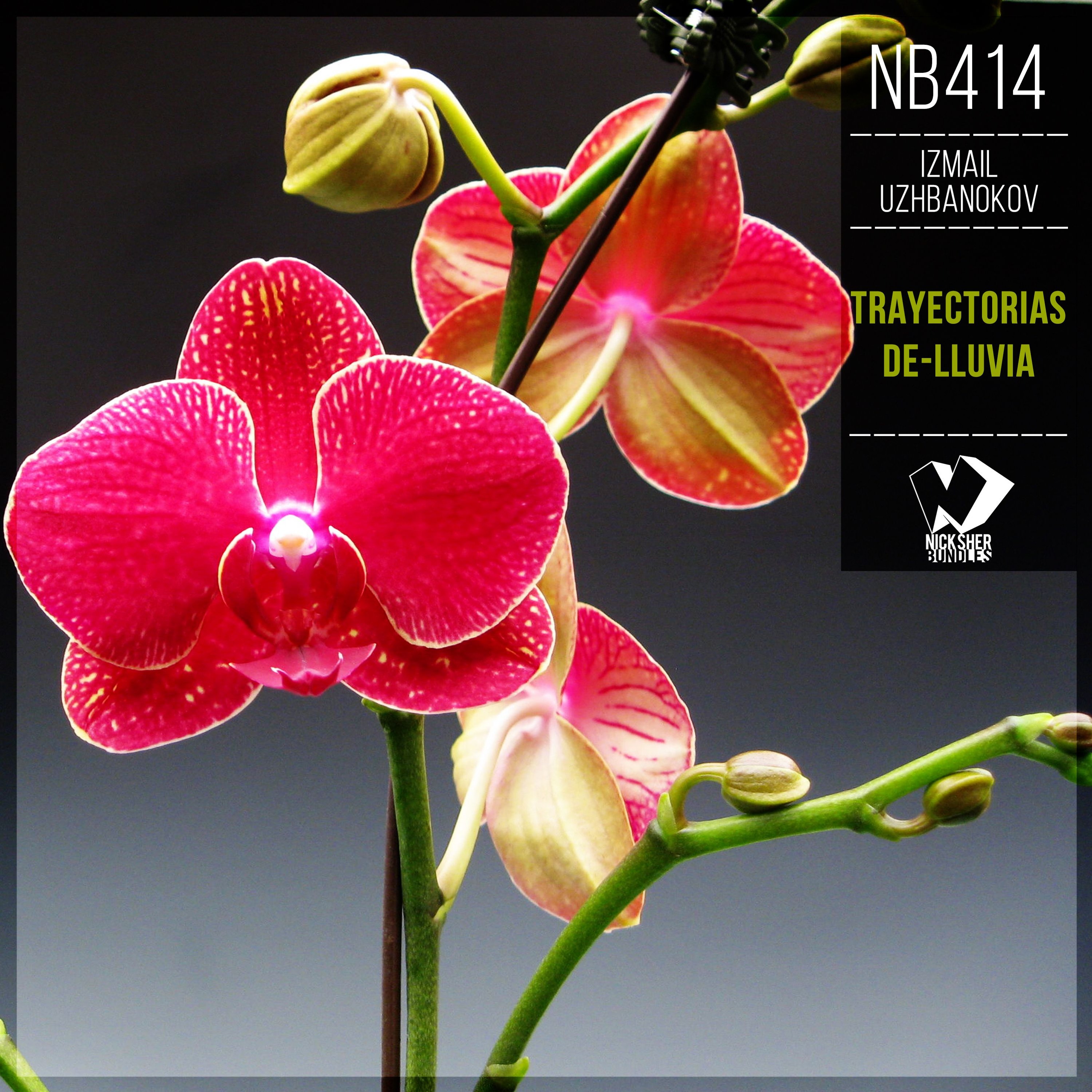 Izmail Uzhbanokov - Dance with Me (Original Mix) episode artwork