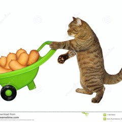 memblem finals beat(also fonky and got me da W)