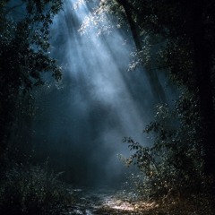 A Light in The Darkness