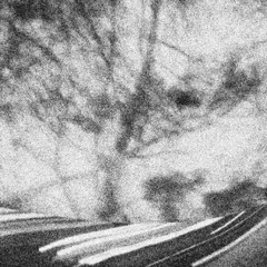 if you love something, let it die